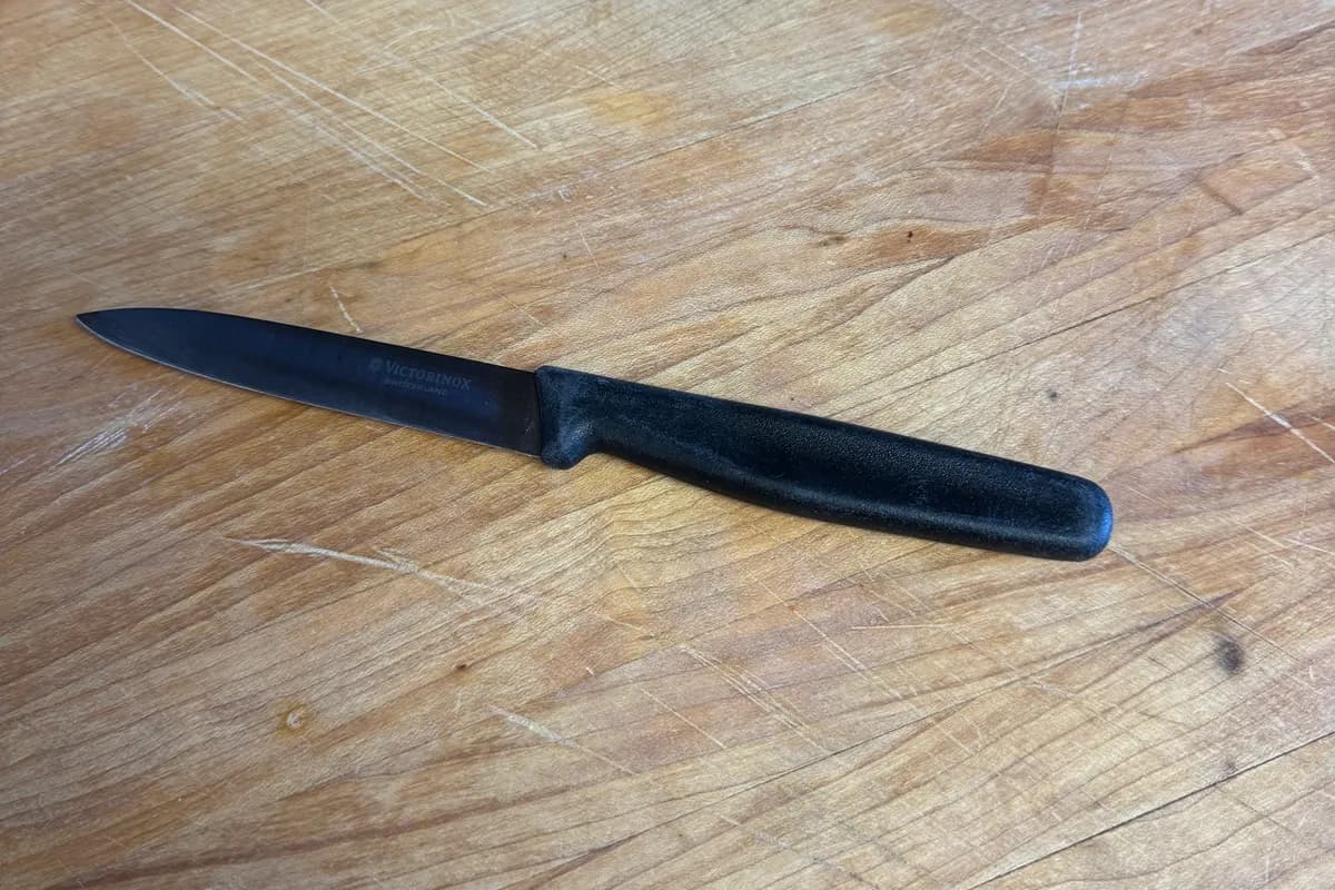 Victorinox 4-inch Paring Knife
